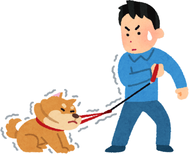 Lead Manners