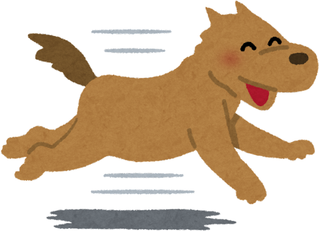 Energetic dog